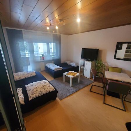 Einzimmerwohnungmit Grossem Balkon Mietersheim المظهر الخارجي الصورة