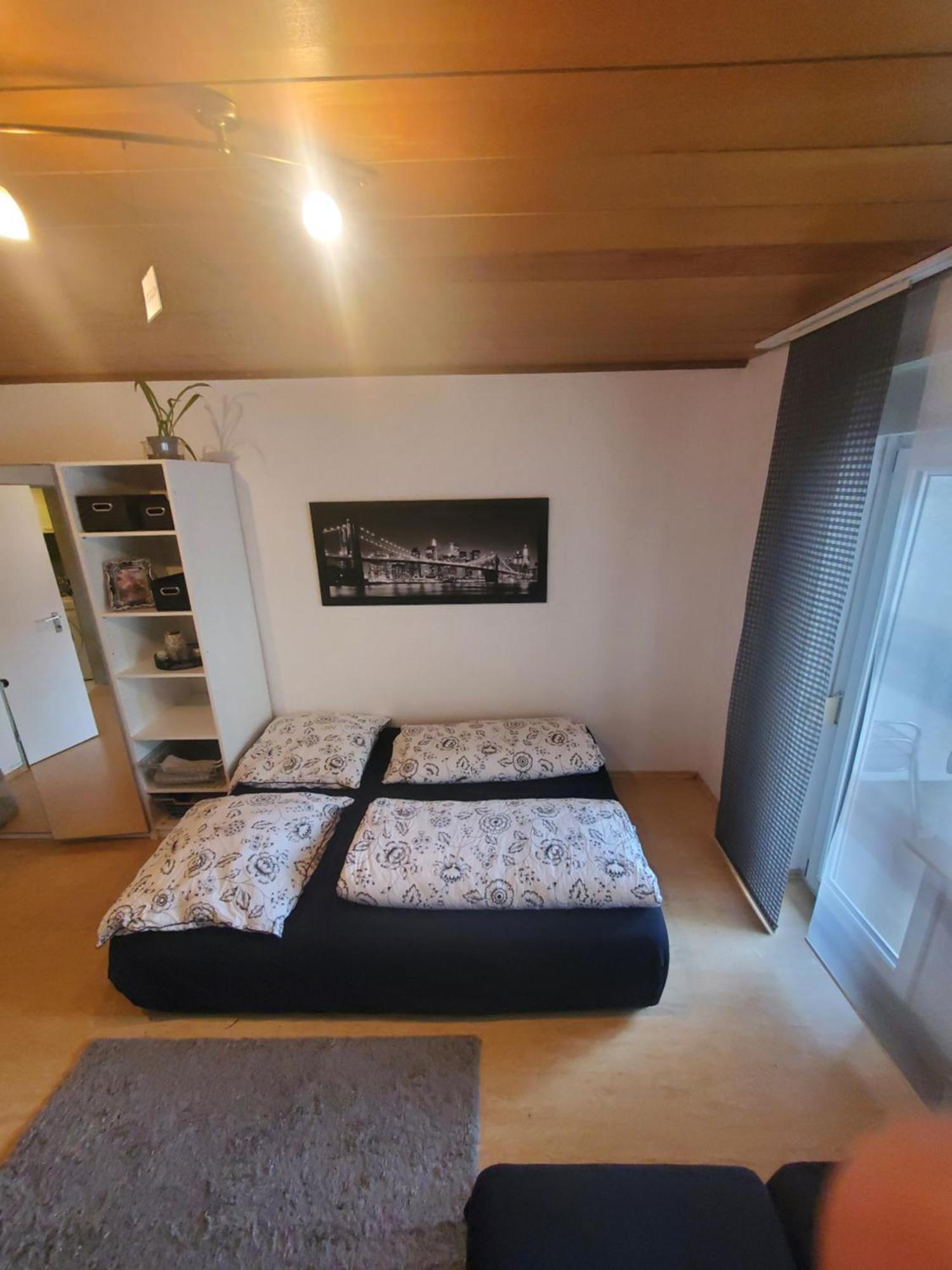 Einzimmerwohnungmit Grossem Balkon Mietersheim المظهر الخارجي الصورة